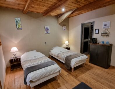 Décor chaleureux de la chambre d'hôtes Roubion avec plancher et plafond en bois, équipée en 2 lits simples. Une porte permet d'accéder au dressing. Le plateau de courtoisie et la cafetière à dosettes sont posés sur une armoire métallique de couleur marron.