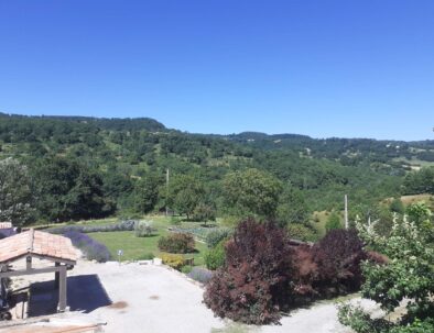 Vue sur le jardin depuis la terrasse de 58m²