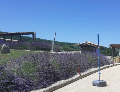 boulodrome et lavande